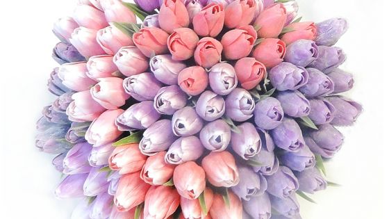Plastové tulipány skladem