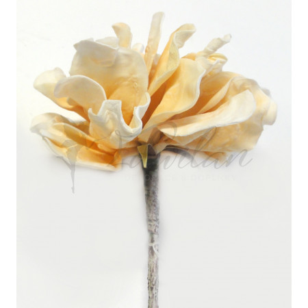 Pěnová květina - krémová hortenzie