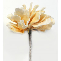 Pěnová květina - krémová hortenzie