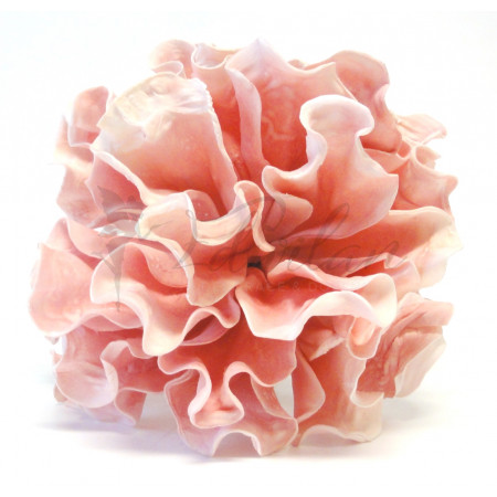Pěnová květina - růžová hortenzie