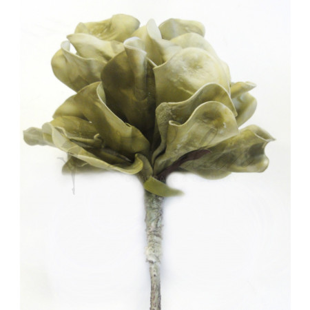 Pěnová květina - zelená hortenzie
