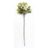 Pěnová květina - zelená hortenzie