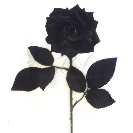 Černá růže