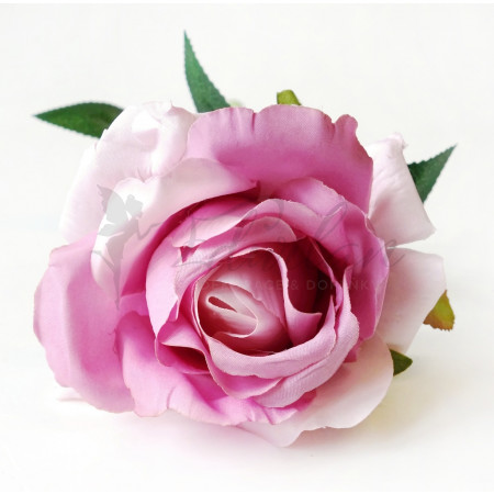 Fialová růže