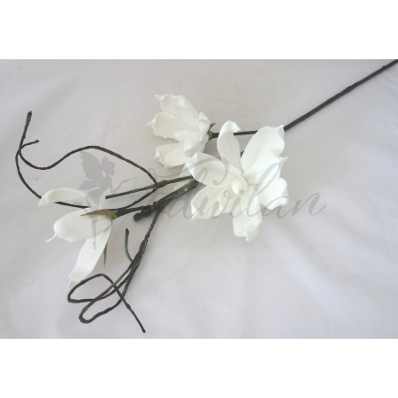 Exotická květina bílá -trojkvětá