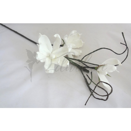 Exotická květina bílá -trojkvětá