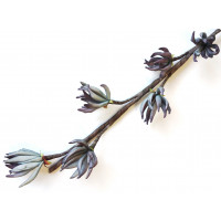 Pěnová květina - modrá větev