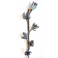 Pěnová květina - modrá větev