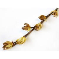 Pěnová květina - hnědá větev