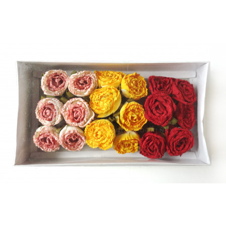 Papírové růže - velký box