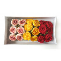 Papírové růže - velký box