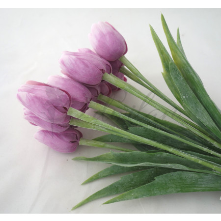 Tulipán růžovo-fialový-12ks