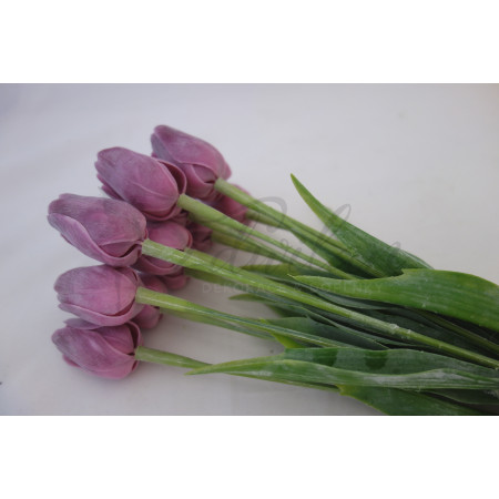Tulipán fialový-12ks (A1058)