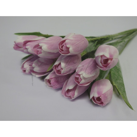 Tulipán bilo-růžový-12ks (A1051)