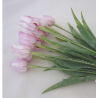 Tulipán bilo-růžový-12ks (A1051)