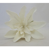 Pěnová květina v bílé barvě