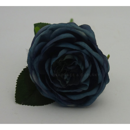 Růže v modrém odstínu