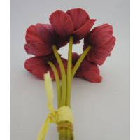 Kytička anemonek ve svazku