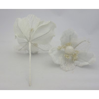 Bílá vánoční magnolie - 4ks