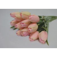 Tulipán světle růžový - 12ks  (A33)