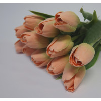 Tulipán růžovo-zelený-12ks