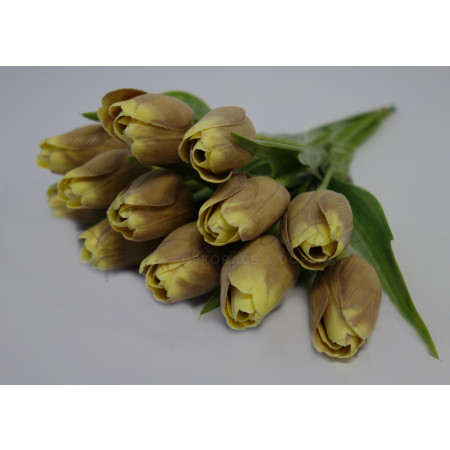 Tulipán hnědo-žlutý-12ks