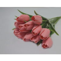 Tulipán růžový-12ks (A36)