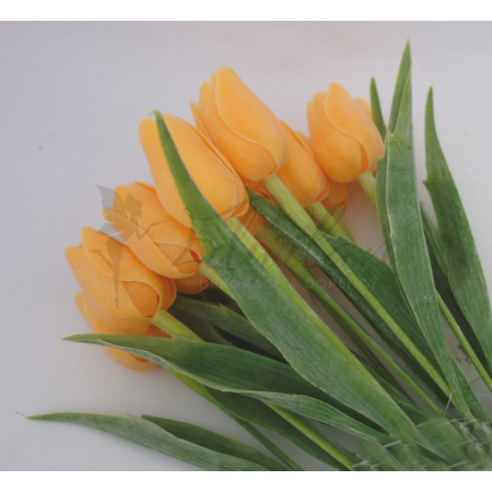 Tulipán světle oranžový-12ks