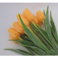 Tulipán světle oranžový-12ks