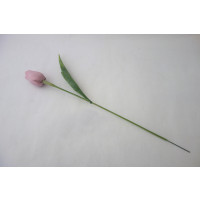 Tulipán světle růžový-12ks (A54)