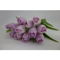 Tulipán světle fialový-12ks