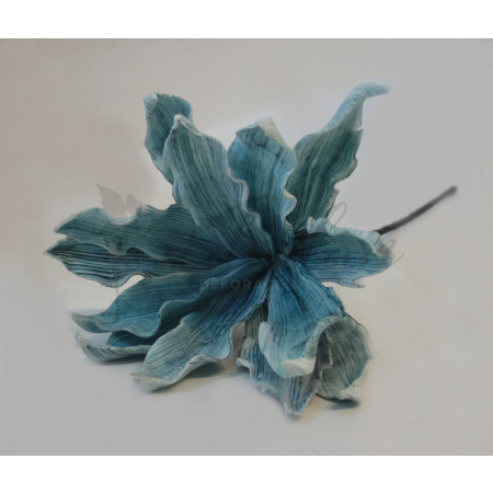 Modrá exotická květina