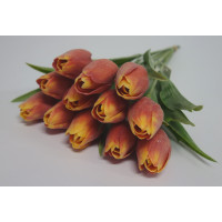 Tulipán červeno - oranžový - 12ks