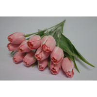Tulipán světle růžový - 12ks (A74)