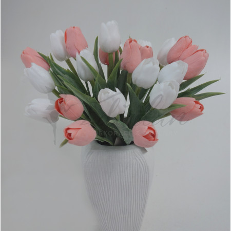 Tulipán korálové barvy - 12ks