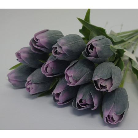 Tulipán fialový - 12ks (A86 )