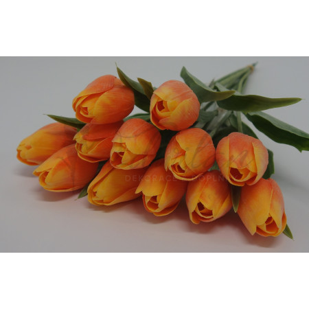 Tulipán oranžový - 12ks (A82)