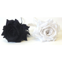 Růže v bílém nebo černém provedení