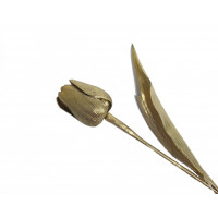 Tulipán v šampaňské barvě - 12ks (X015)