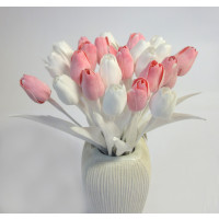 Tulipán světle růžový - 12ks (A74WS)