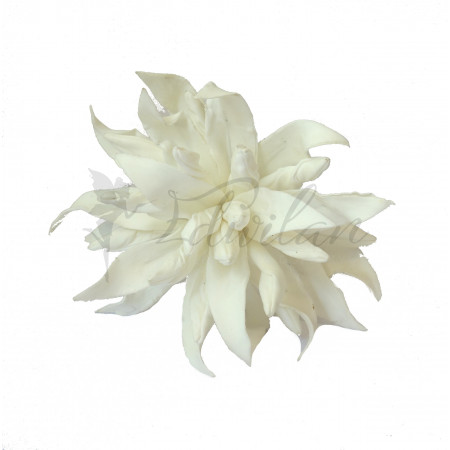 Bílá tropická květina