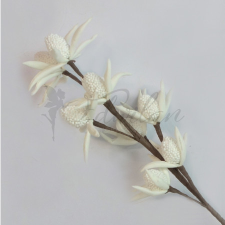 Tropická květina - bílá