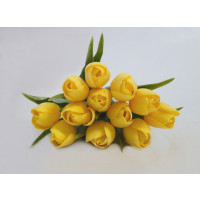 Tulipán žlutý - 12ks (A147)