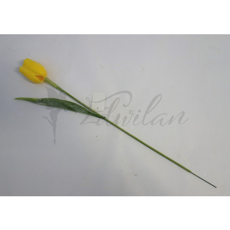 Tulipán žlutý - 12ks (A147)