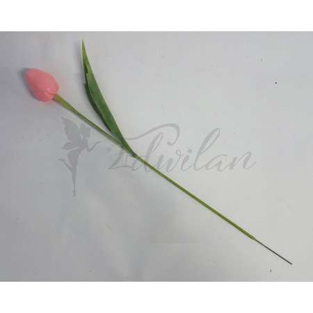 Tulipán růžový 12ks- (A149)