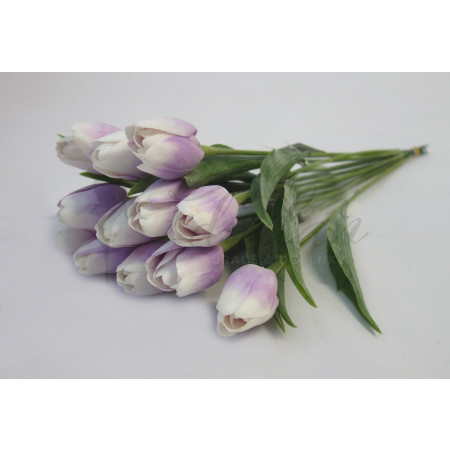 Tulipán světle fialový-12ks (A150)
