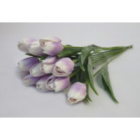 Tulipán světle fialový-12ks (A150)