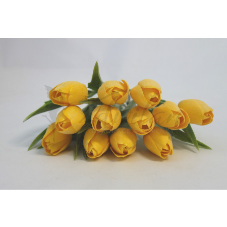 Tulipán žlutý - 12ks (A148)