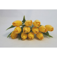 Tulipán žlutý - 12ks (A148)