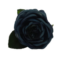 Růže v modrém odstínu